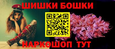 молекула духа Новозыбков