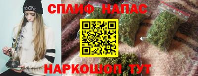 стафф Новокубанск