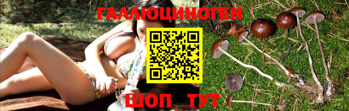 Галлюциногенные грибы GOLDEN TEACHER  Вход с VPN  Сорочинск  Псилоцибиновые грибы мицелий 